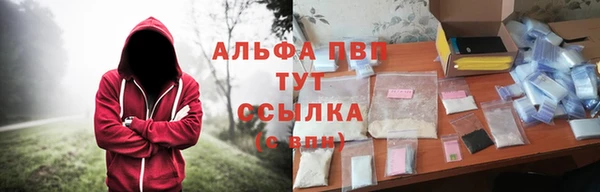 индика Пролетарск