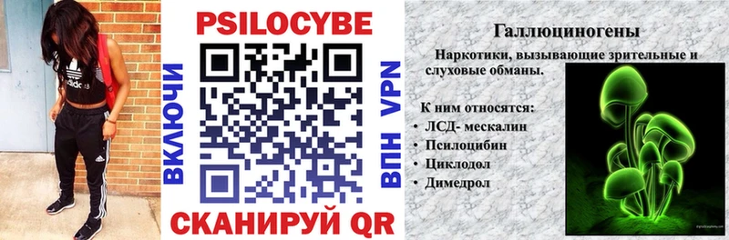 хочу наркоту  shop состав  Псилоцибиновые грибы мухоморы  Орехово-Зуево 
